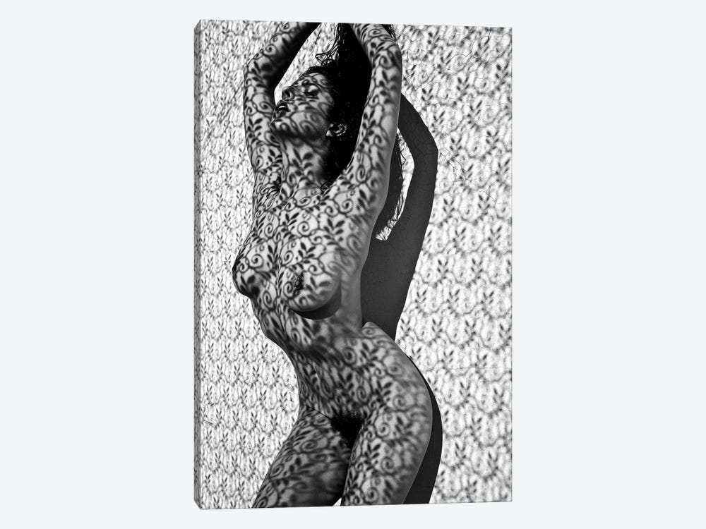 Lace Shadow by Gregory Prescott 1-piece Canvas Print