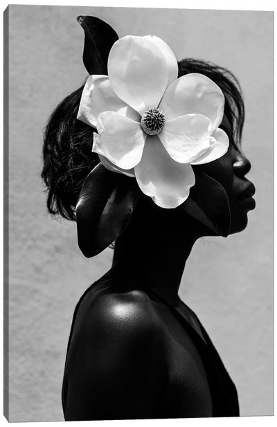 Magnolia Canvas Art Print - Black & White Decorative Art