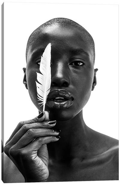 White Feather Canvas Art Print - Black & White Photography