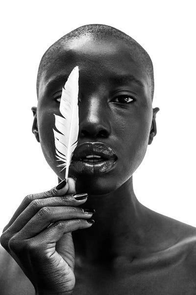 Large Photography - Canvas Prints: White Feather by Gregory Prescott