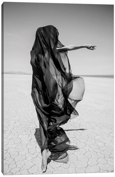Desert Ghost Canvas Art Print - Action Shot Photography