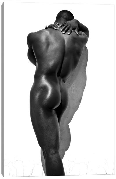 Brandens Back Canvas Art Print - Male Nudes