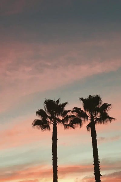 Fine Art Print: II Palms by Gregory Prescott