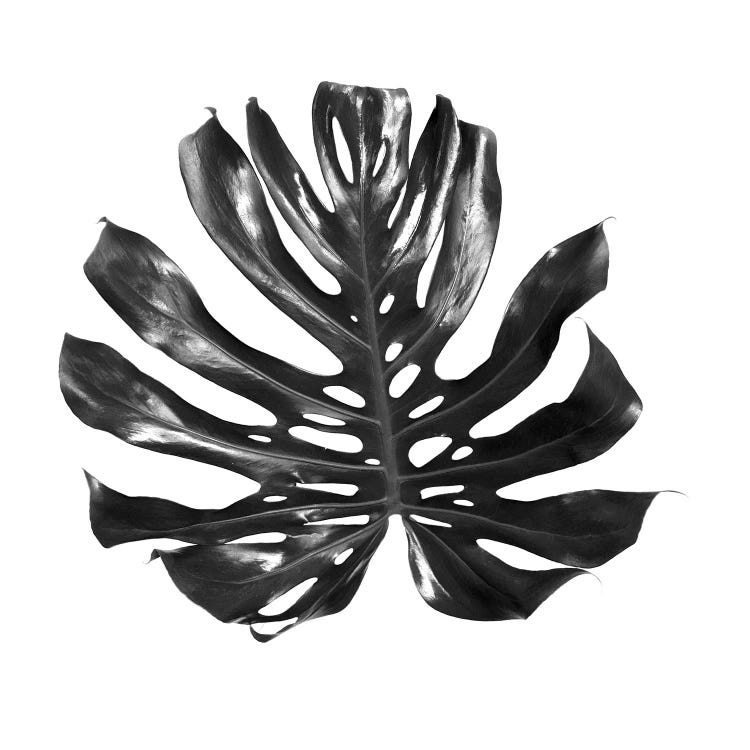Monstera Leaf by Gregory Prescott wall art
