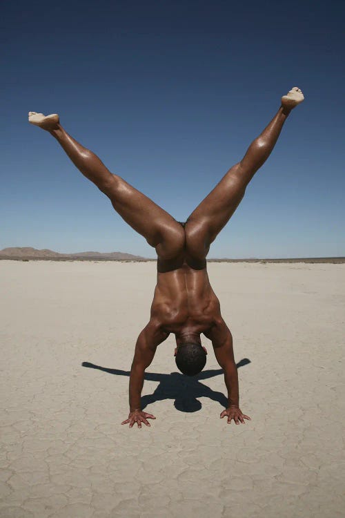 Cartwheel by Gregory Prescott wall art
