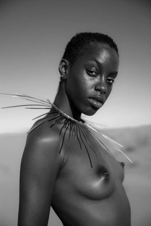 Queen Ayanna by Gregory Prescott wall art