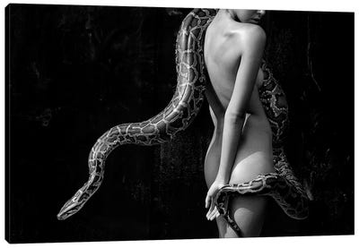 Eden Canvas Art Print - Snake Art
