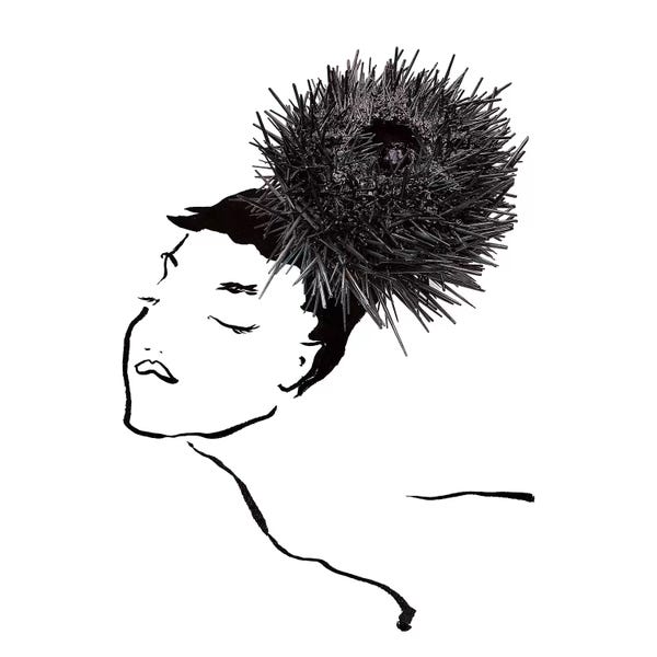 Minimalist Photography: Uni  by Gretchen Roehrs