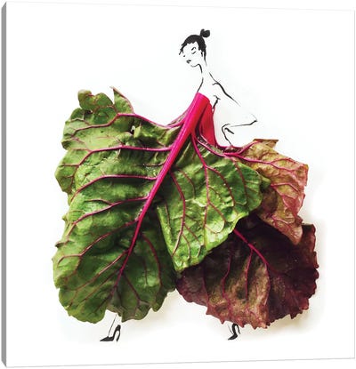 Chard Canvas Art Print - Vegetable Art