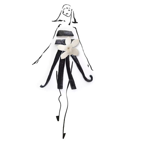 Minimalist Photography: Vanilla by Gretchen Roehrs