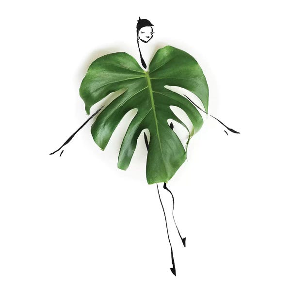 Minimalist Photography: Monstra by Gretchen Roehrs