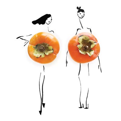 Orange Persimmon  by Gretchen Roehrs framed canvas print