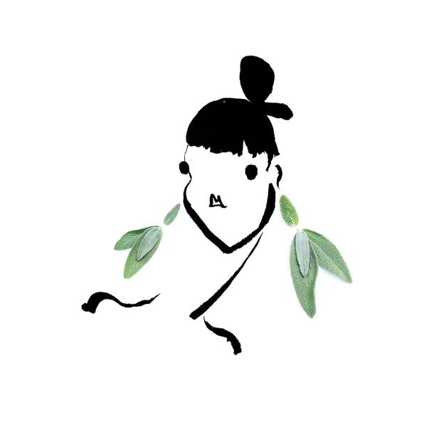 Herbs: Sage by Gretchen Roehrs