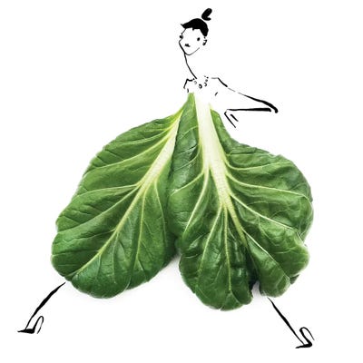 Tatsoi by Gretchen Roehrs canvas print