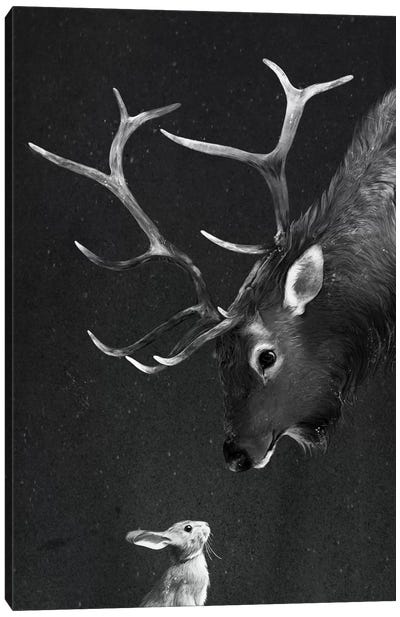 Elk & Rabbit Canvas Art Print - Deer Art