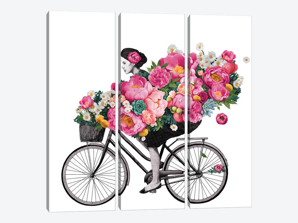 Floral Bicycle by Laura Graves 3-piece Canvas Wall Art