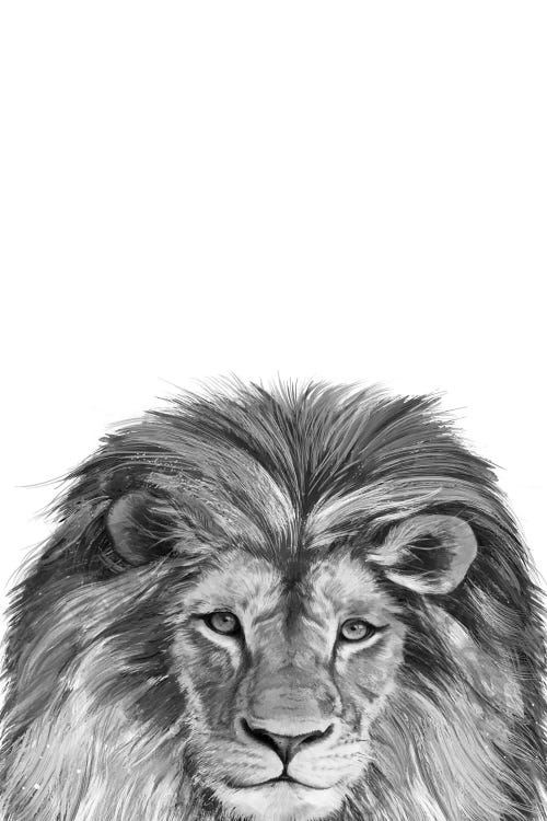 Lion by Laura Graves wall art