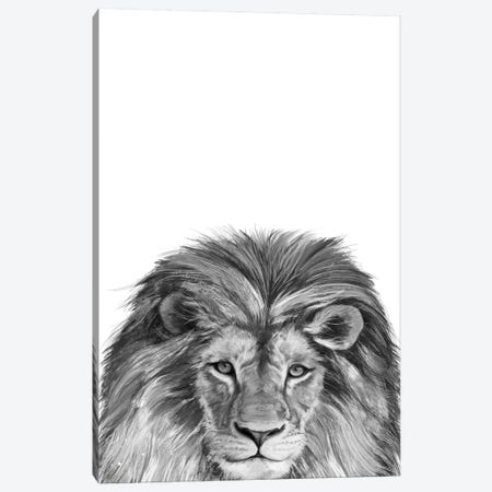 Lion Canvas Print #GRV20} by Laura Graves Art Print