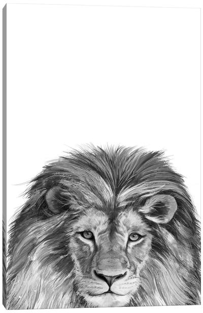 Lion Canvas Art Print - Laura Graves