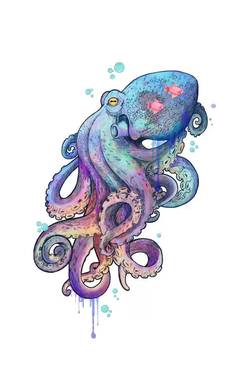 Octopus