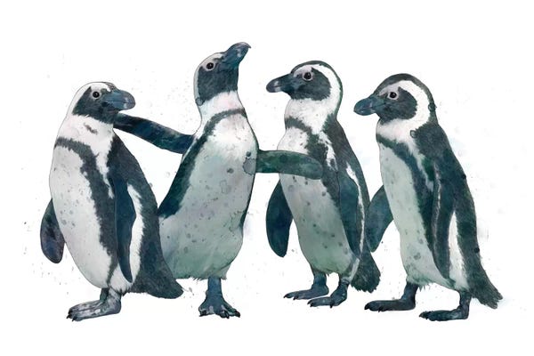 Penguins: Penguin Party by Laura Graves