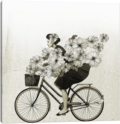 Ride Canvas Art Print - Bicycle Art
