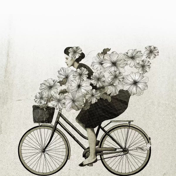 Bicycles: Ride by Laura Graves