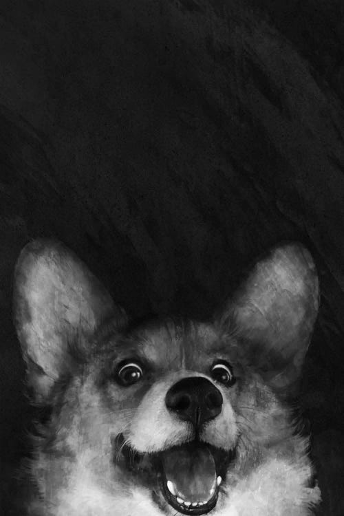 Sausage Fox Corgi by Laura Graves wall art