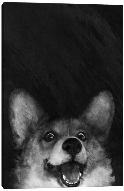 Sausage Fox Corgi Canvas Art Print - Laura Graves