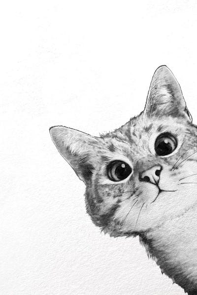 Illustrations: Sneaky Cat by Laura Graves