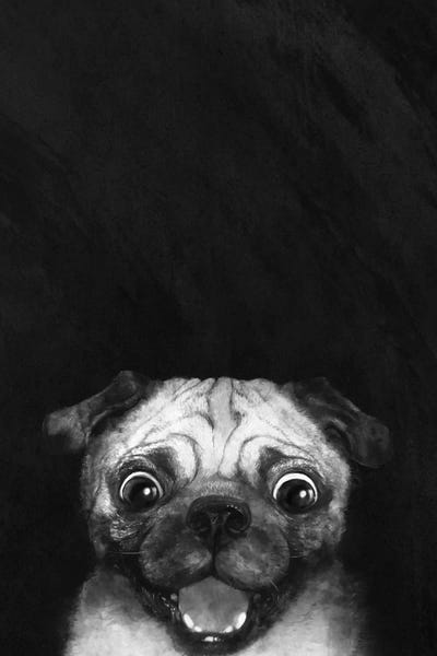 Pugs: Snuggle Pug by Laura Graves