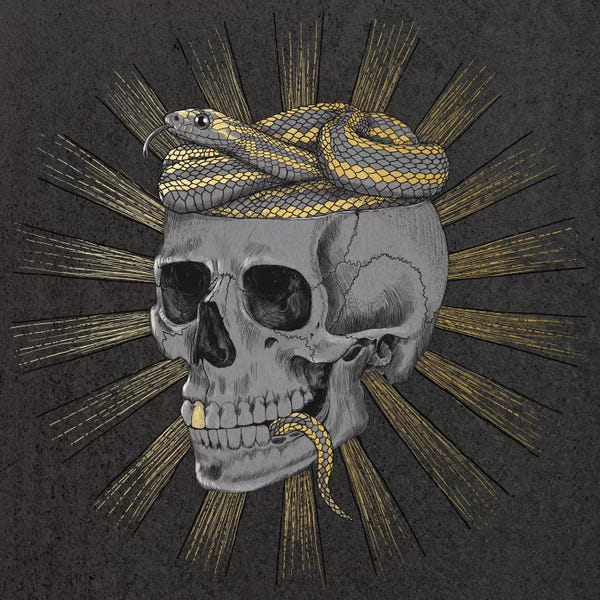 Snakes: Stay Gold by Laura Graves