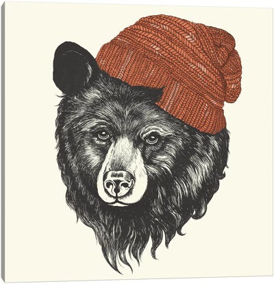 Zissou The Bear Canvas Art Print - Animal Illustrations