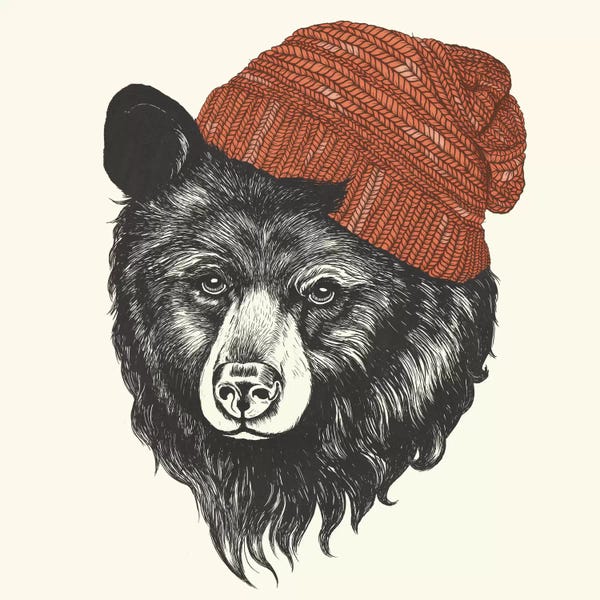 Animal Illustrations: Zissou The Bear by Laura Graves