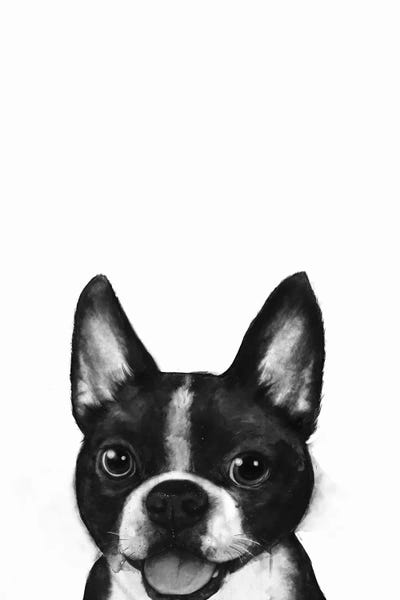 Terriers: Boston by Laura Graves