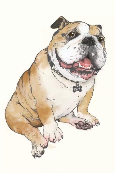 Bulldog by Laura Graves acrylic art print