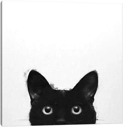 Are You Awake Yet Canvas Art Print - Black Cat Art