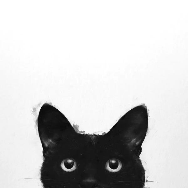 Animal Illustrations: Are You Awake Yet by Laura Graves