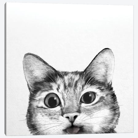Silly Cat Canvas Print #GRV41} by Laura Graves Canvas Print
