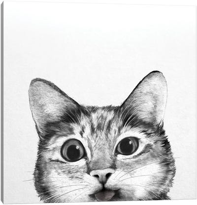Silly Cat Canvas Art Print - Illustrations 