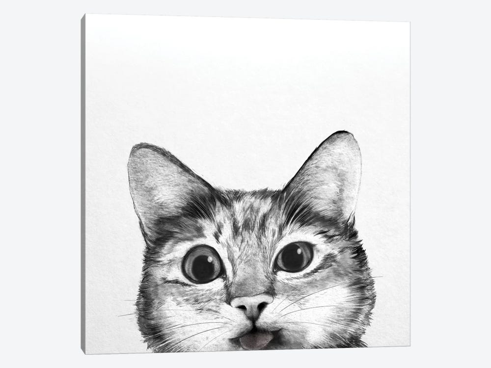 Silly Cat by Laura Graves 1-piece Canvas Art Print
