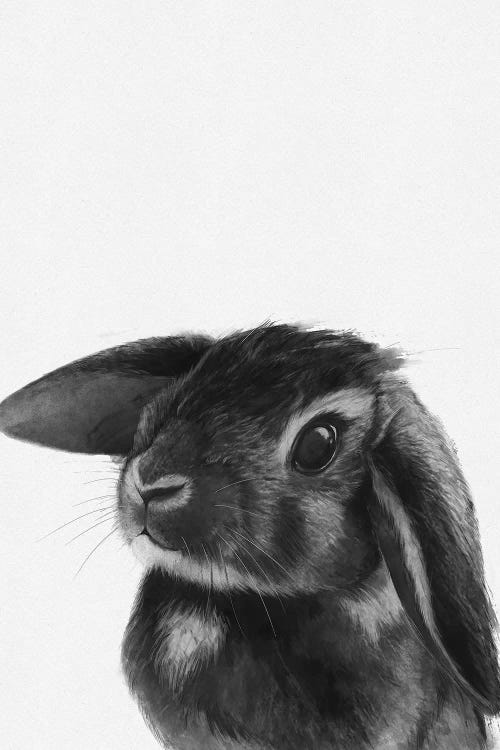 Bunny by Laura Graves wall art