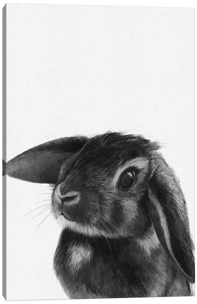 Bunny Canvas Art Print - Laura Graves