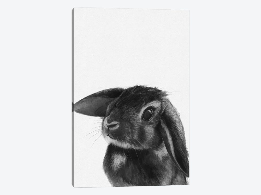 Bunny by Laura Graves 1-piece Canvas Art