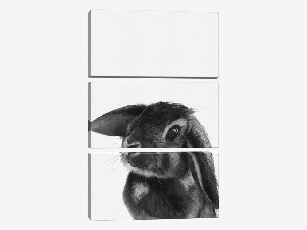 Bunny by Laura Graves 3-piece Canvas Art