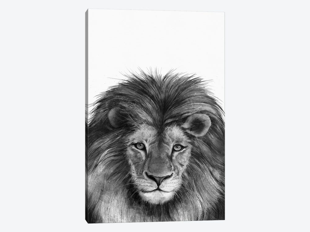 Lion II by Laura Graves 1-piece Canvas Wall Art