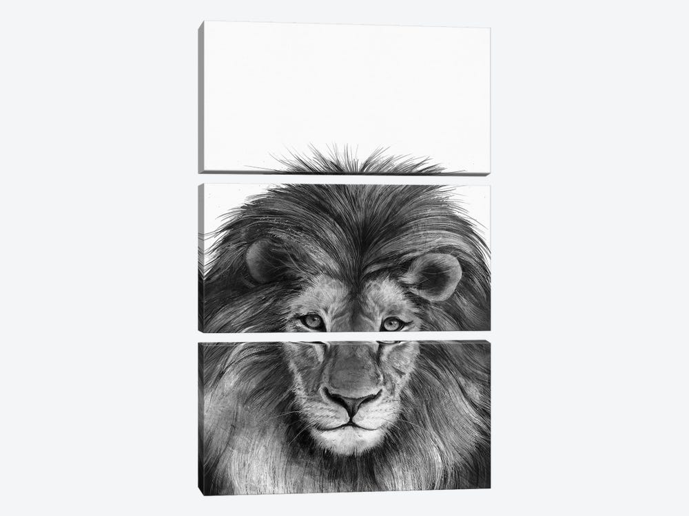 Lion II by Laura Graves 3-piece Canvas Wall Art