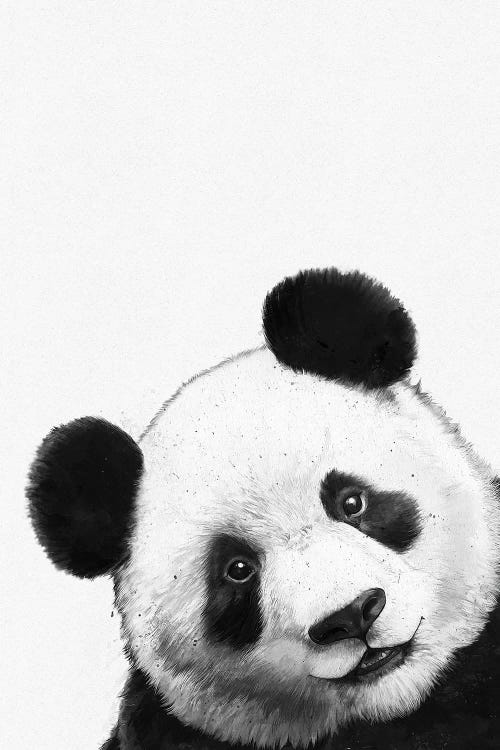 Illusion ekskrementer elektronisk Panda Canvas Print by Laura Graves | iCanvas
