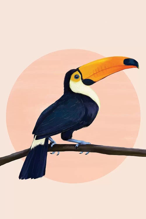 Tropical Toucan by Laura Graves wall art