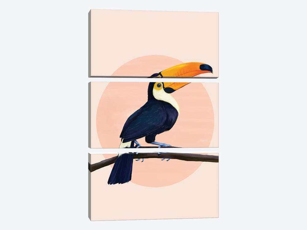 Tropical Toucan by Laura Graves 3-piece Canvas Art